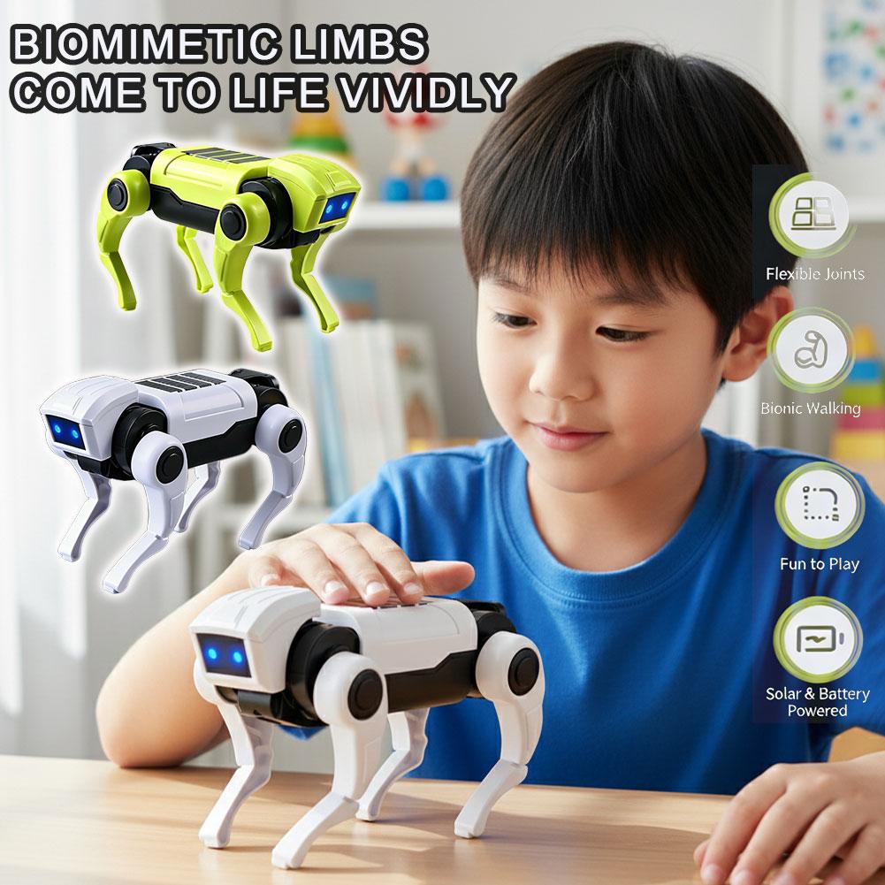 Diy Electronics For Kids - DIY Montage RC Roboterhund Spielzeug Ferngesteuerter
