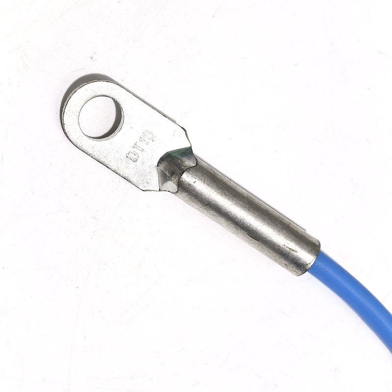 Ds18B20 Temperature Sensor - DS18B20 Speziell für Oberflächentemperatursensorsonde, 8 mm